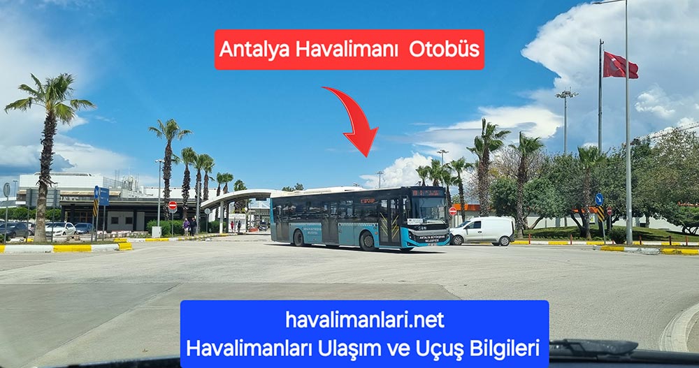 Antalya Havaalanı 600-800 otobüs
