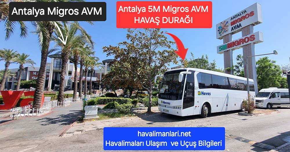Antalya Havas Bus, 5M Migros-Haltestelle