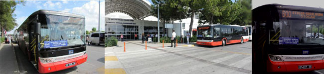 antalya Airport 600 number public bus shuttle