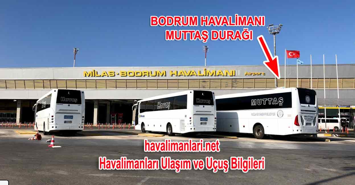 bodrum havalimanı muttaş otobüs