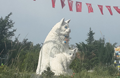 Van Şehir Rehberi